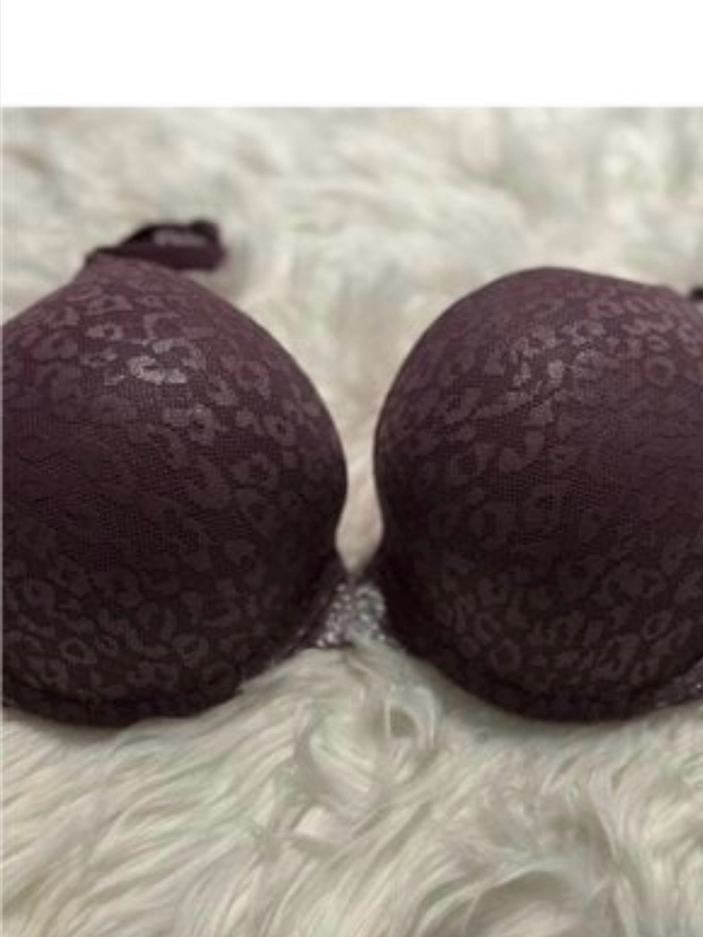 PINK Victoria's Secret Plum Lace Leopard Push-Up Bra